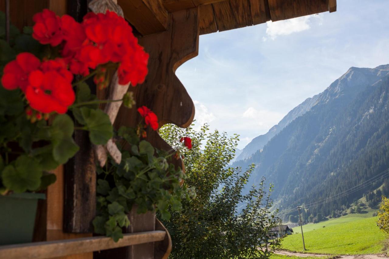 Alpenspitz Appartements - Garni - B&B Racines Kültér fotó